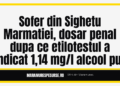 Sofer din Sighetu Marmatiei, dosar penal dupa ce etilotestul a indicat 1,14 mg/l alcool pur