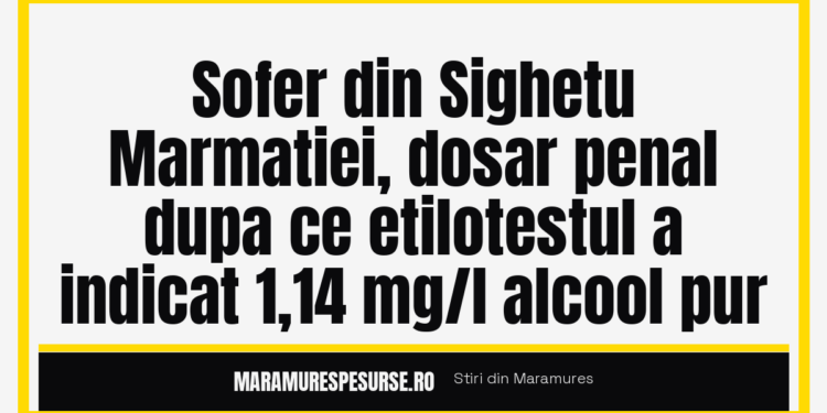 Sofer din Sighetu Marmatiei, dosar penal dupa ce etilotestul a indicat 1,14 mg/l alcool pur
