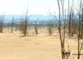 Praf steril iaz Bozânta Baia Mare câmp acoperit