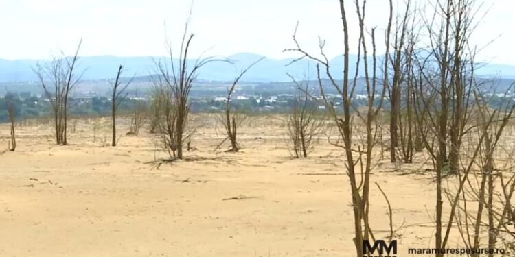 Praf steril iaz Bozânta Baia Mare câmp acoperit