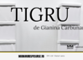 Tigru la Baia Mare: spectacolul semnat Gianina Cărbunariu revine pe scenă — 12 septembrie