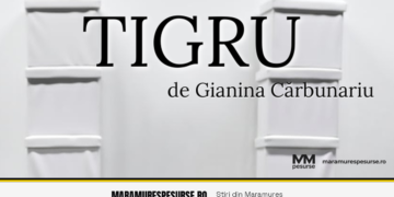 Tigru la Baia Mare: spectacolul semnat Gianina Cărbunariu revine pe scenă — 12 septembrie