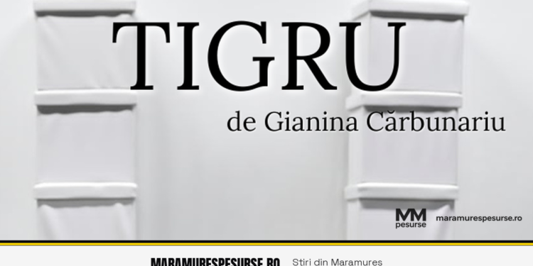 Tigru la Baia Mare: spectacolul semnat Gianina Cărbunariu revine pe scenă — 12 septembrie
