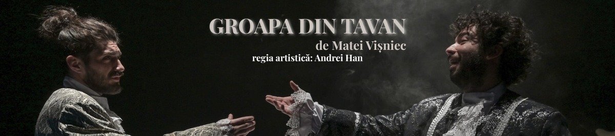 Afișul spectacolului Groapa din Tavan - Teatrul Municipal Baia Mare