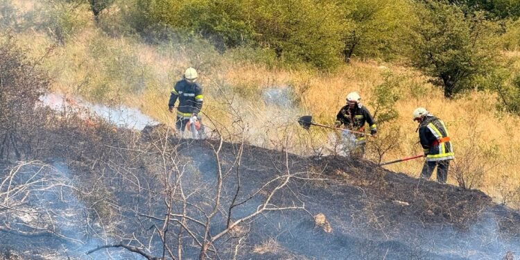 Incendiu de vegetație la Fântânele: pompierii voluntari din Târgu Lăpuș au oprit extinderea focului