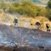 Incendiu de vegetație la Fântânele: pompierii voluntari din Târgu Lăpuș au oprit extinderea focului