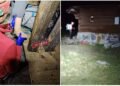 Interventie Salvamont Rodnei