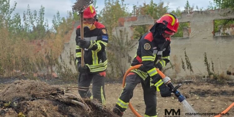 Pompierii români în misiune în Serbia incendii vegetație