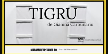 Tigru la Baia Mare: spectacolul semnat Gianina Cărbunariu, la Teatrul Municipal — 30 august