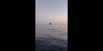 Dronă Gerbera cu încărcătură explozivă, descoperită și neutralizată la Gura Portiței (VIDEO)