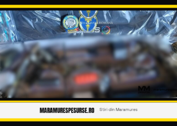 Produse reținute de vameși și polițiștii de frontieră în vămile României