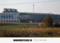 Rongo (Baia Mare): peste 200 de firme aleg compania maramureșeană de management al deșeurilor industriale