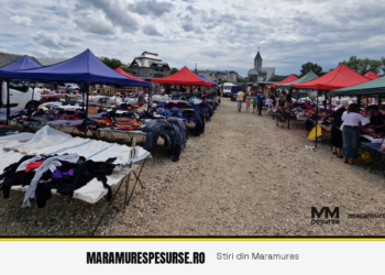 Primăria Târgu Lăpuș pregătește modernizarea pieței și construirea unui centru agro-logistic