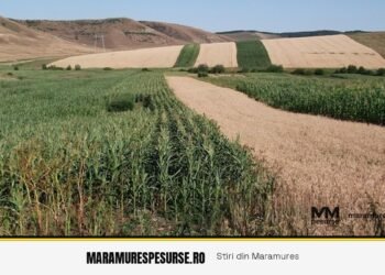 Agricover Credit: capitalizare importantă din profitul nedistribuit