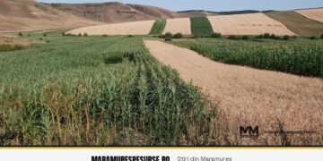 Agricover Credit: capitalizare importantă din profitul nedistribuit