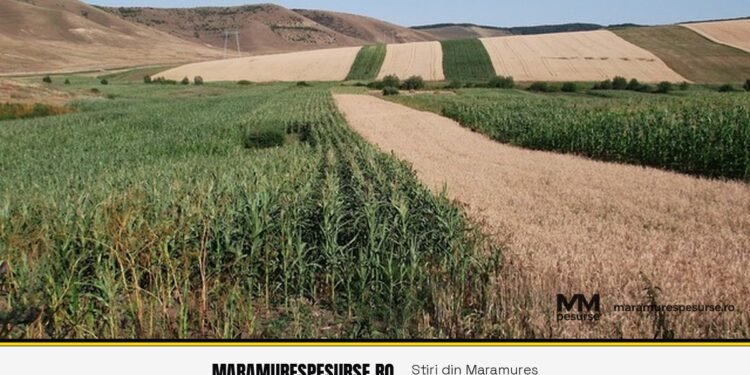 Agricover Credit: capitalizare importantă din profitul nedistribuit