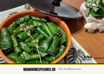 Cabbage rolls in stevia leaves – traditional Maramureș recipe from Șieu
