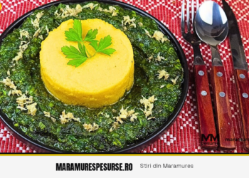 Vărzari – cornmeal pie with stinging nettles from Călinești, Maramureș