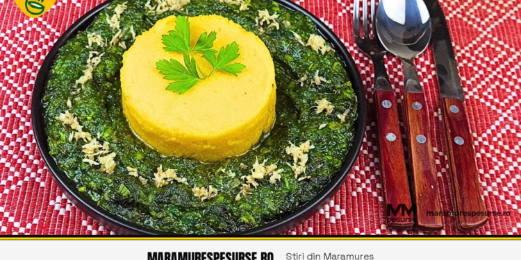 Vărzari – cornmeal pie with stinging nettles from Călinești, Maramureș