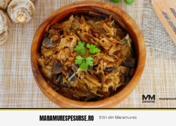 Sos de ciuperci гриблянка cu moare