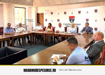 Siguranță școlară: proiect-pilot cu echipe canine în zona unităților de învățământ, anunțat de MAI