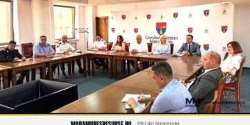 Siguranță școlară: proiect-pilot cu echipe canine în zona unităților de învățământ, anunțat de MAI