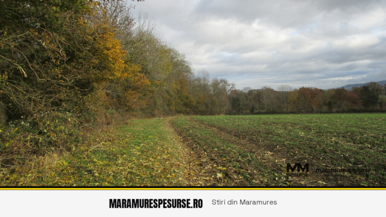 1,6 milioane de lei pentru redeschiderea Băilor sărate de la Coștiui, cu ciubăre și saune finlandeze