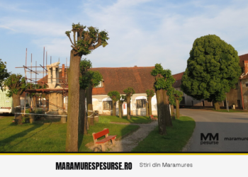 IPJ Maramureș explică procedura de răspuns la scrisorile primite prin sistemul e-SIGUR