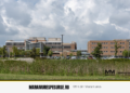 Educație medicală pentru copiii cu diabet și familiile lor, la Spitalul Județean Baia Mare