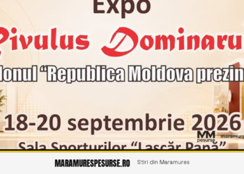 frame_expo_rivulus