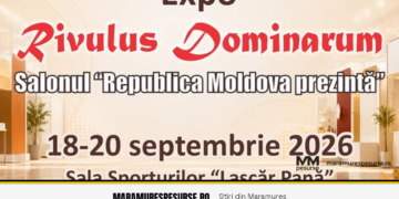 frame_expo_rivulus