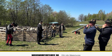 Brânză tradițională maramureșeană