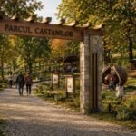 Parcul Castanilor: o nouă viziune urbană pentru Baia Mare, între natură și comunitate