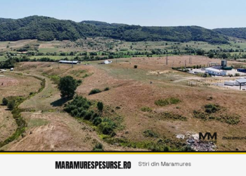 Lucrări avansate la Parcul de Specializare Inteligentă Târgu Lăpuș: cinci loturi concesionate și finanțări în derulare