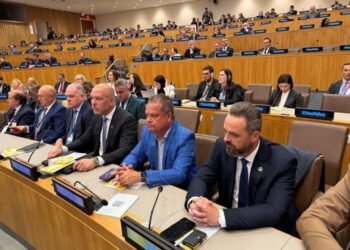Deputatul sighetean Nicolae-Miroslav Petrețchi a participat la summit-ul Platformei Internaționale Crimeea, la New York