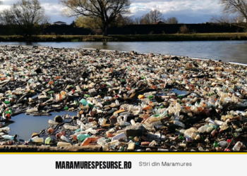 Bariere anti-deșeuri pe râurile Săsar și Firiza: plasticul, prins înainte să ajungă în Someș