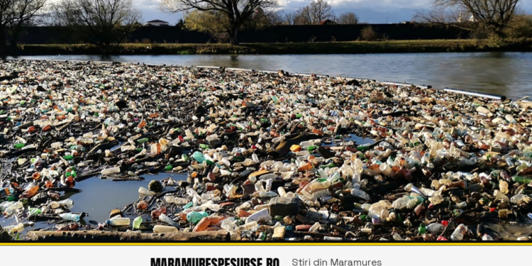 Bariere anti-deșeuri pe râurile Săsar și Firiza: plasticul, prins înainte să ajungă în Someș