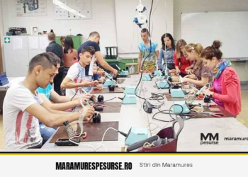 Parteneriat educațional: liceenii băimăreni își fac practica la Electrica