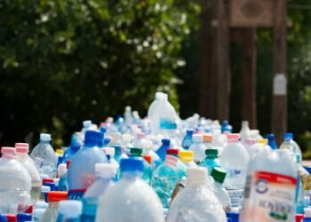 Tíz órát pakolta az automatába: több mint 11 ezer palackot váltott vissza egy férfi