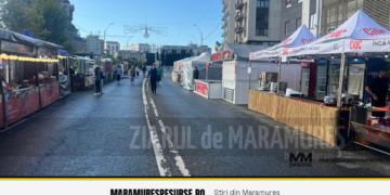 Sărbătoarea Castanelor 2026: spectacol de drone și video mapping pe 19-20 septembrie, în două locații din Baia Mare