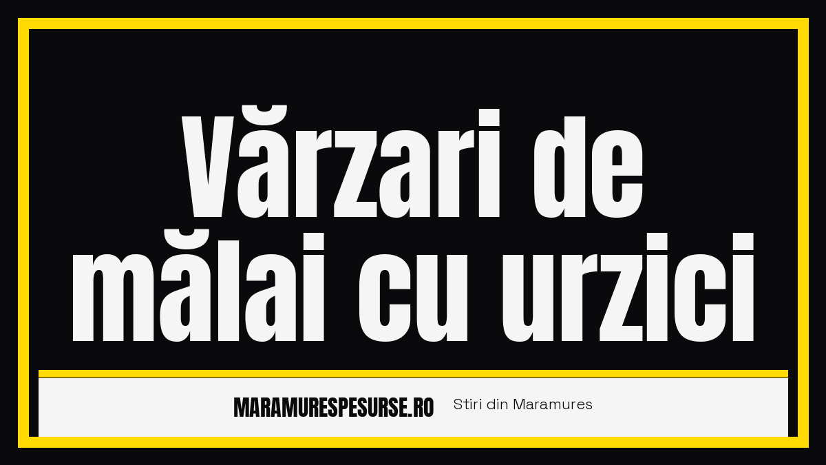 Vărzari de mălai cu urzici – rețetă tradițională maramureșeană din Călinești