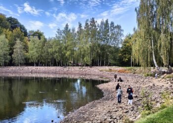 Lacul Bodi-Mogoșa și-a dezvăluit malurile: seceta descoperă plaja ascunsă. Va readuce ploaia nivelul apei?