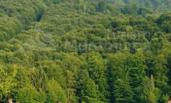 Lacul Bodi-Mogosa cu malurile descoperite: va reusi ploaia sa readuca apa la nivelul obisnuit