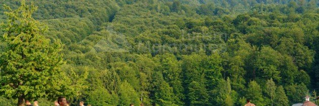 Lacul Bodi-Mogosa cu malurile descoperite: va reusi ploaia sa readuca apa la nivelul obisnuit