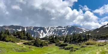 Controale ITM in padurile din Maramures: utilaje fara autorizatie, muncitori fara echipament si munca nedeclarata