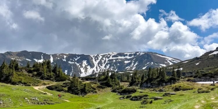 Controale ITM in padurile din Maramures: utilaje fara autorizatie, muncitori fara echipament si munca nedeclarata