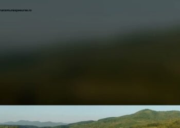 Sinteza Zilei – 8 Octombrie 2026