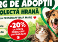 Târg de adopții în Baia Mare, de Ziua Animalelor. Cățeluși își caută o familie