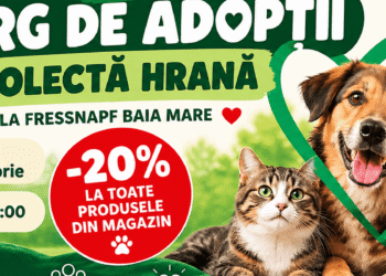 Târg de adopții în Baia Mare, de Ziua Animalelor. Cățeluși își caută o familie